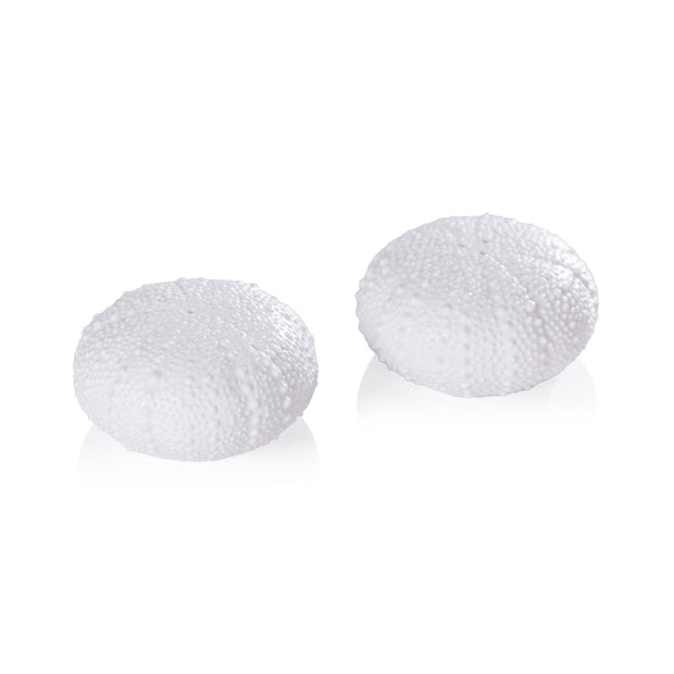 Sea Urchin Salt and Pepper Set