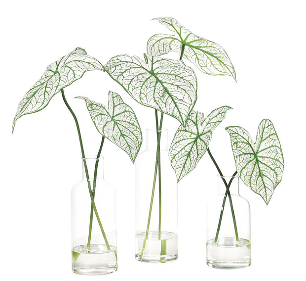 Caladium Faux Greenery Watergarden