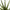 Riviera Ceramic Potted Faux Aloe