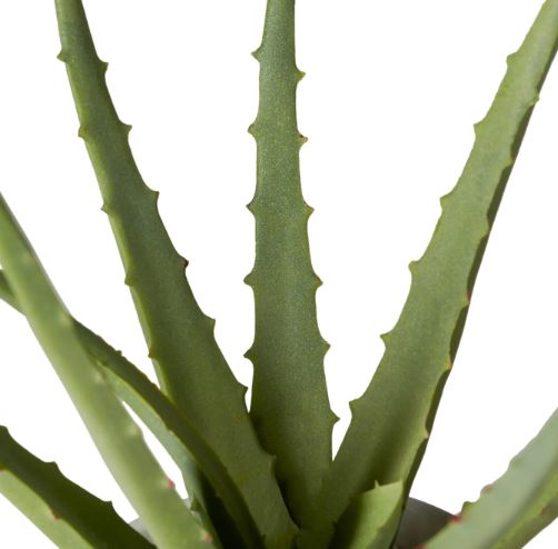 Riviera Ceramic Potted Faux Aloe