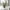 Evarado Aloe Planter