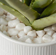Riviera Ceramic Potted Faux Aloe