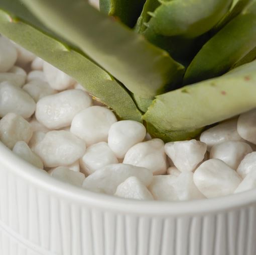 Riviera Ceramic Potted Faux Aloe