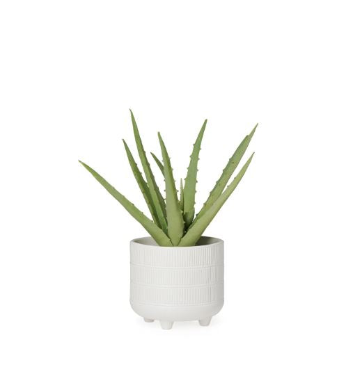 Riviera Ceramic Potted Faux Aloe