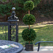 Potted Triple Ball Tree