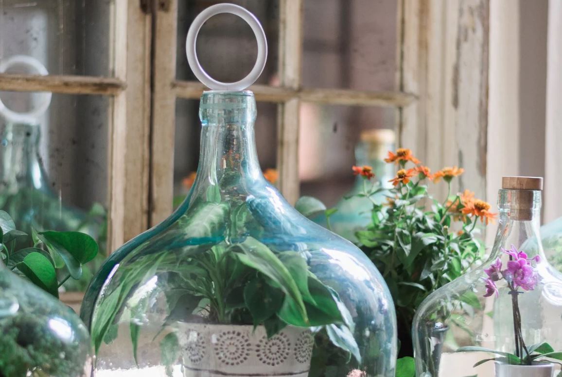 Bianca Recycled Glass Cloche