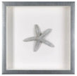 Blue Starfish