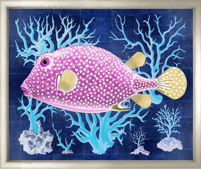 Bright Fish II