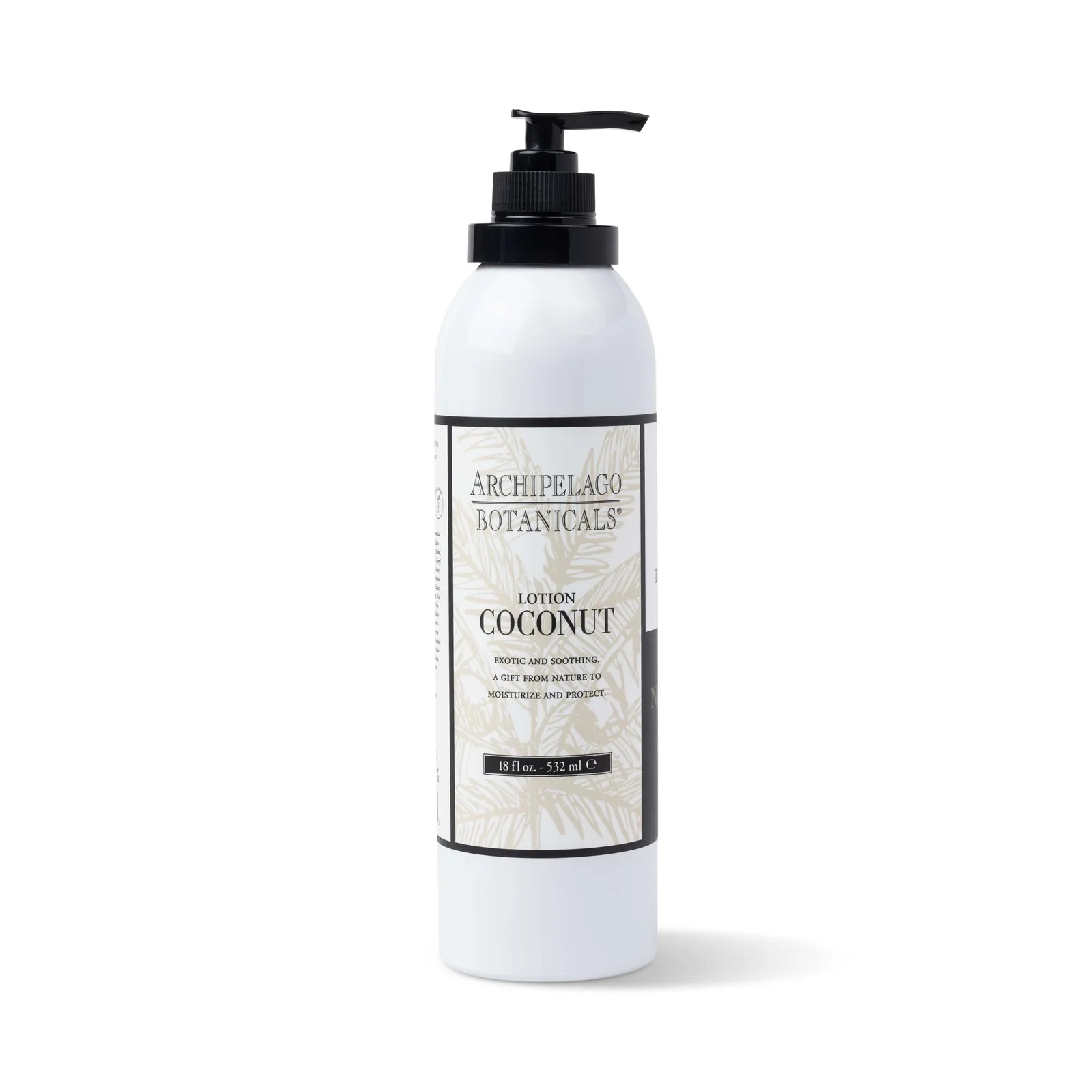Coconut Lotion