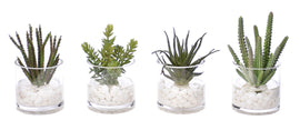 Succulent, Faux Greenery Watergarden
