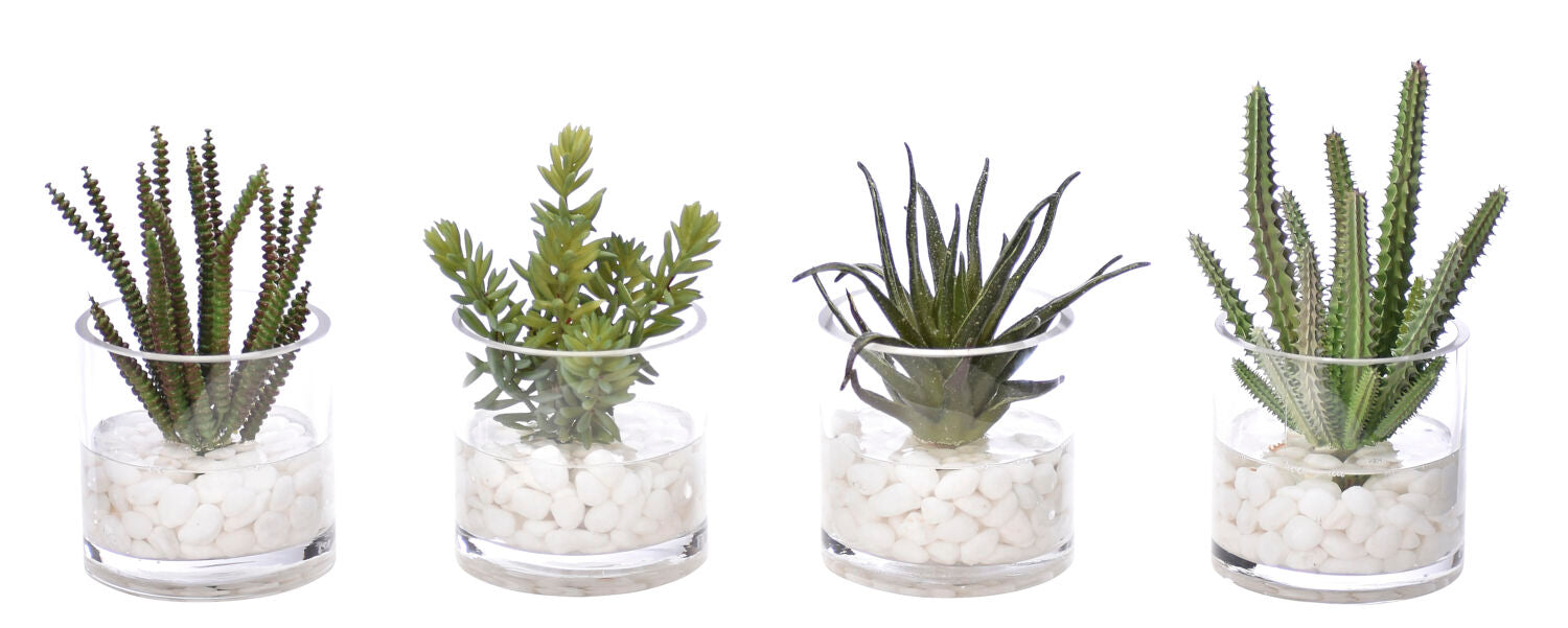 Succulent, Faux Greenery Watergarden
