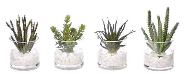 Succulent, Faux Greenery Watergarden
