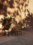 Daiza Wide Planter