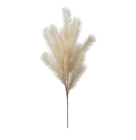 Desert Feather Pampas Stem - Cre