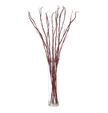 Dogwood Faux 39