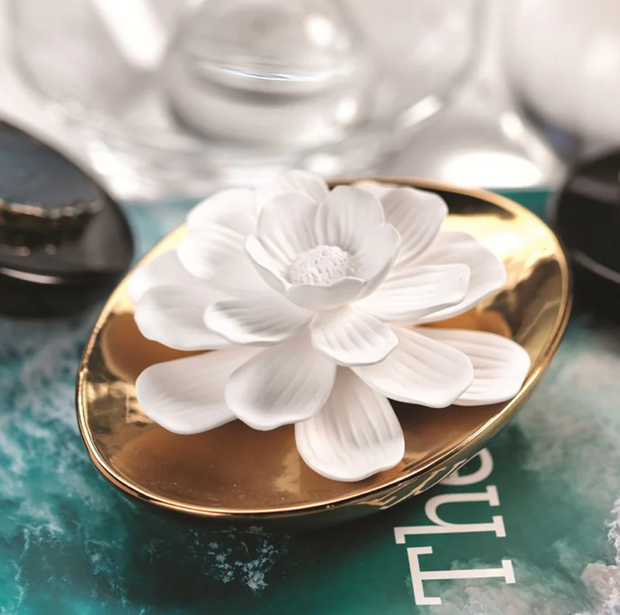 Dream Flower Diffuser Peony
