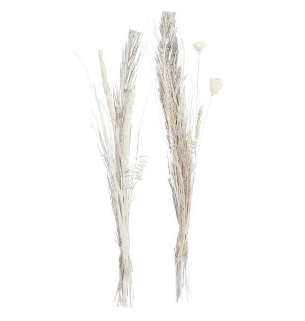 Dried Plant Pigeon Pea