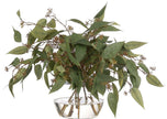 Eucalyptus, Faux Watergarden