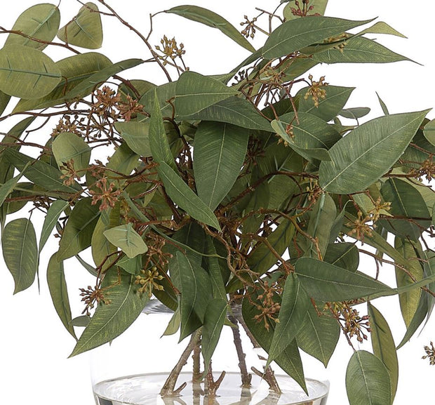 Eucalyptus, Faux Watergarden