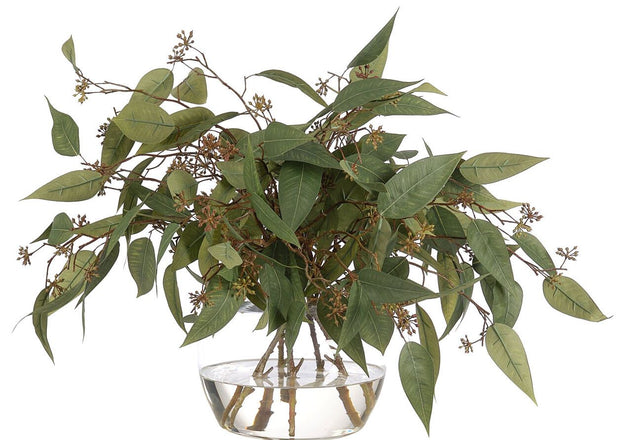 Eucalyptus, Faux Watergarden