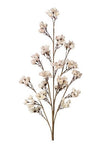 Desert Bloom Cherry Blossom Stem