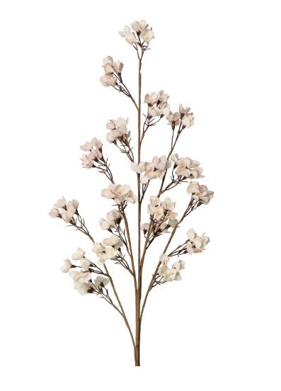 Desert Bloom Cherry Blossom Stem