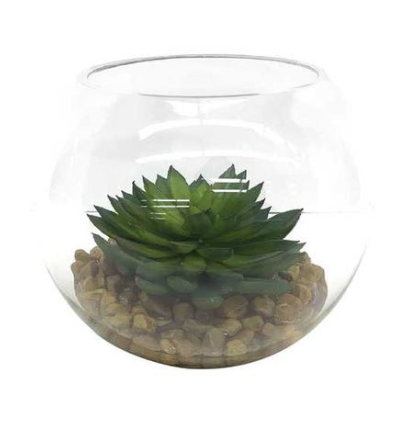 Eloy Terrarium Small