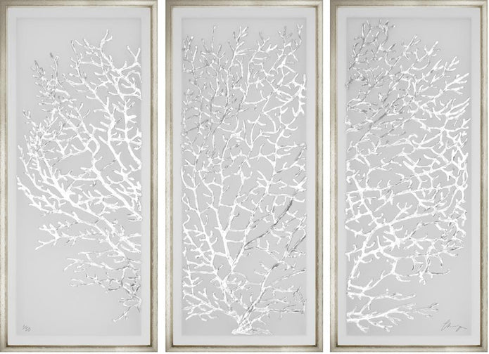 Silver Leaf Coral