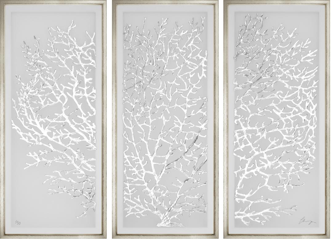 Silver Leaf Coral