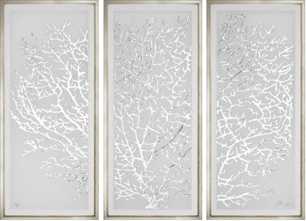 Silver Leaf Coral