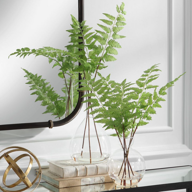 Country Fern - Small