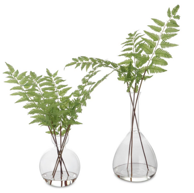 Country Fern - Small