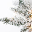 Flocked Colorado Spruce Christmas Tree