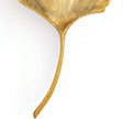 Ginkgo Sconce
