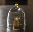 Glass Cloche w/ Gold Knob