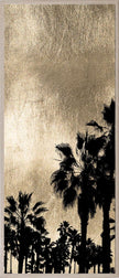 Golden Sunset Series