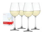 Salute White Wine Glasses – Set of 4