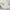 Balboa Standard King Bed
