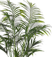 Kentia Faux Palm