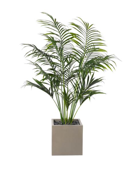 Kentia Faux Palm