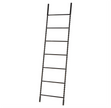 Black Metal Rung Decor Ladder