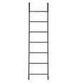 Black Metal Rung Decor Ladder