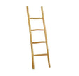 Teak Ladder