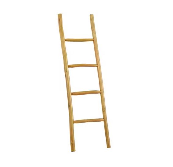 Teak Ladder