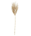 Dried Palm Feather Leaf