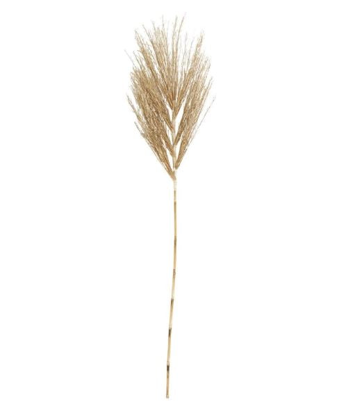 Dried Palm Feather Leaf