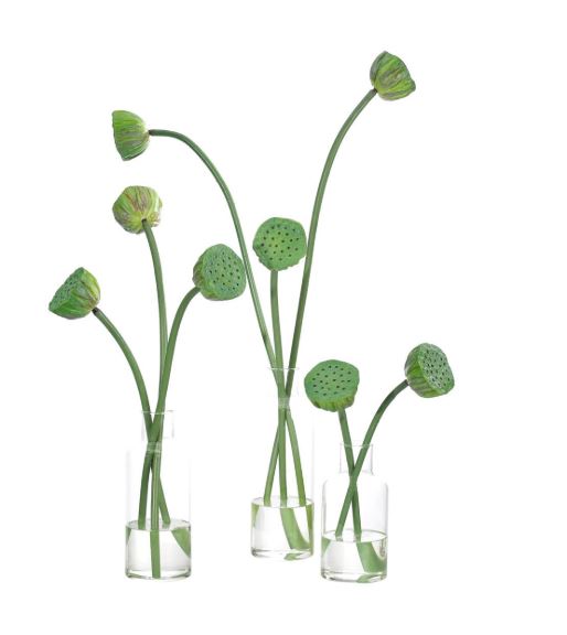 Lotus Pod Faux Plant - Large