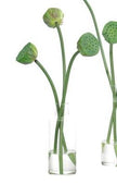 Lotus Pod Faux Plant - Medium