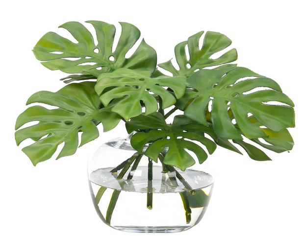Monstera Leaf Faux Watergarden