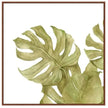 Monstera Foliage 1
